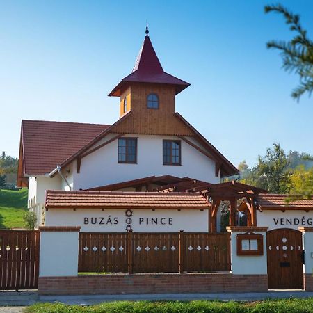 Отель Buzas Pince Vendeghaz Ecsed Экстерьер фото